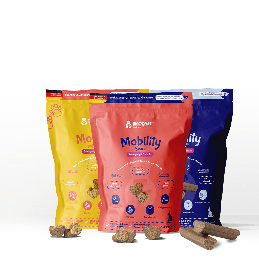 Mobility Bearz, Soft!ez & Orast!x für Hunde mit Teufelskralle und Grünlippenmuschel von DoggyBearz