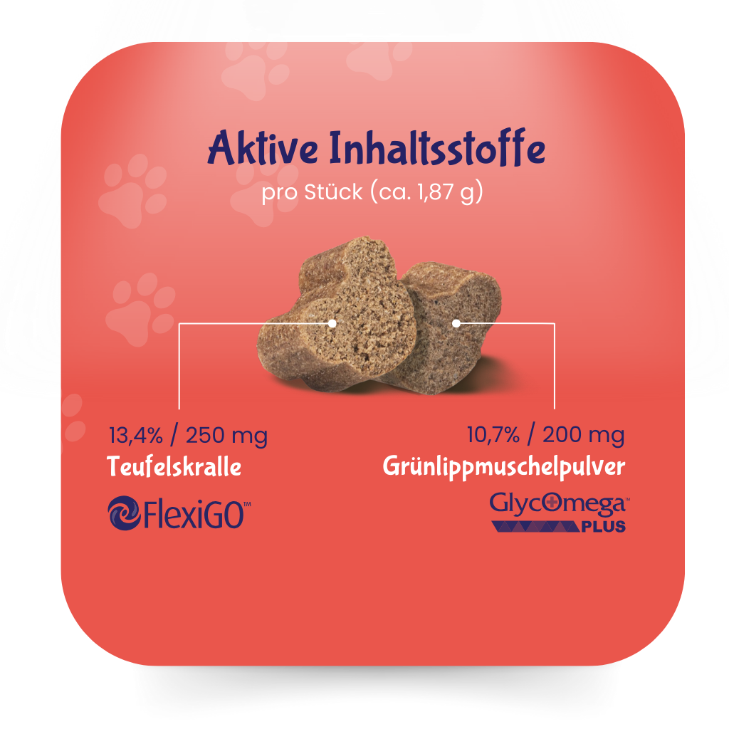 Gelenk & Entzündungen - Mobility Bearz für Hunde mit Teufelskralle und Grünlippenmuschel von DoggyBearz