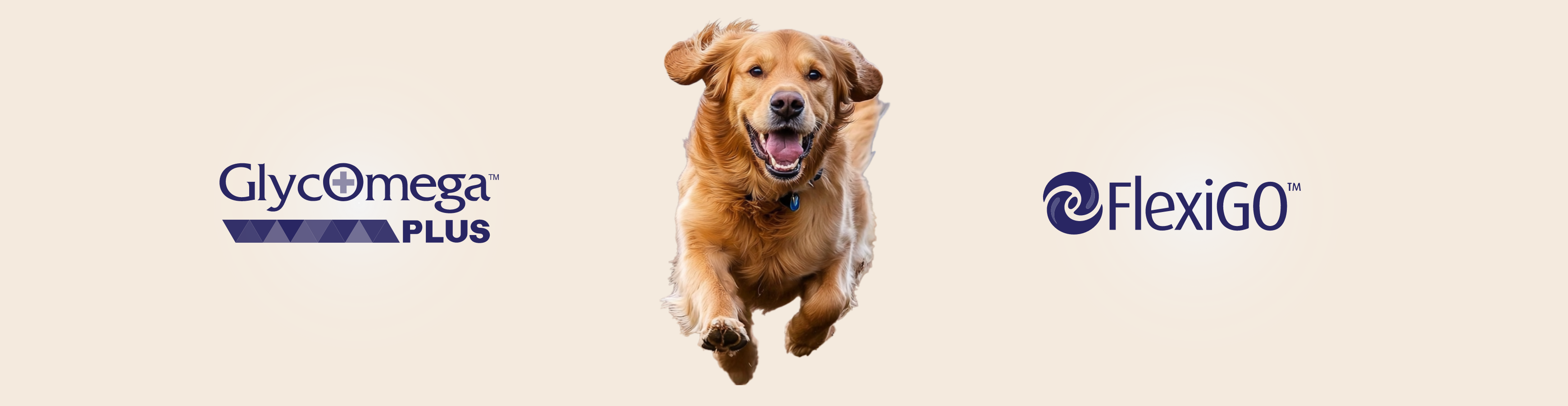 GlycOmega Plus und FlexiGO