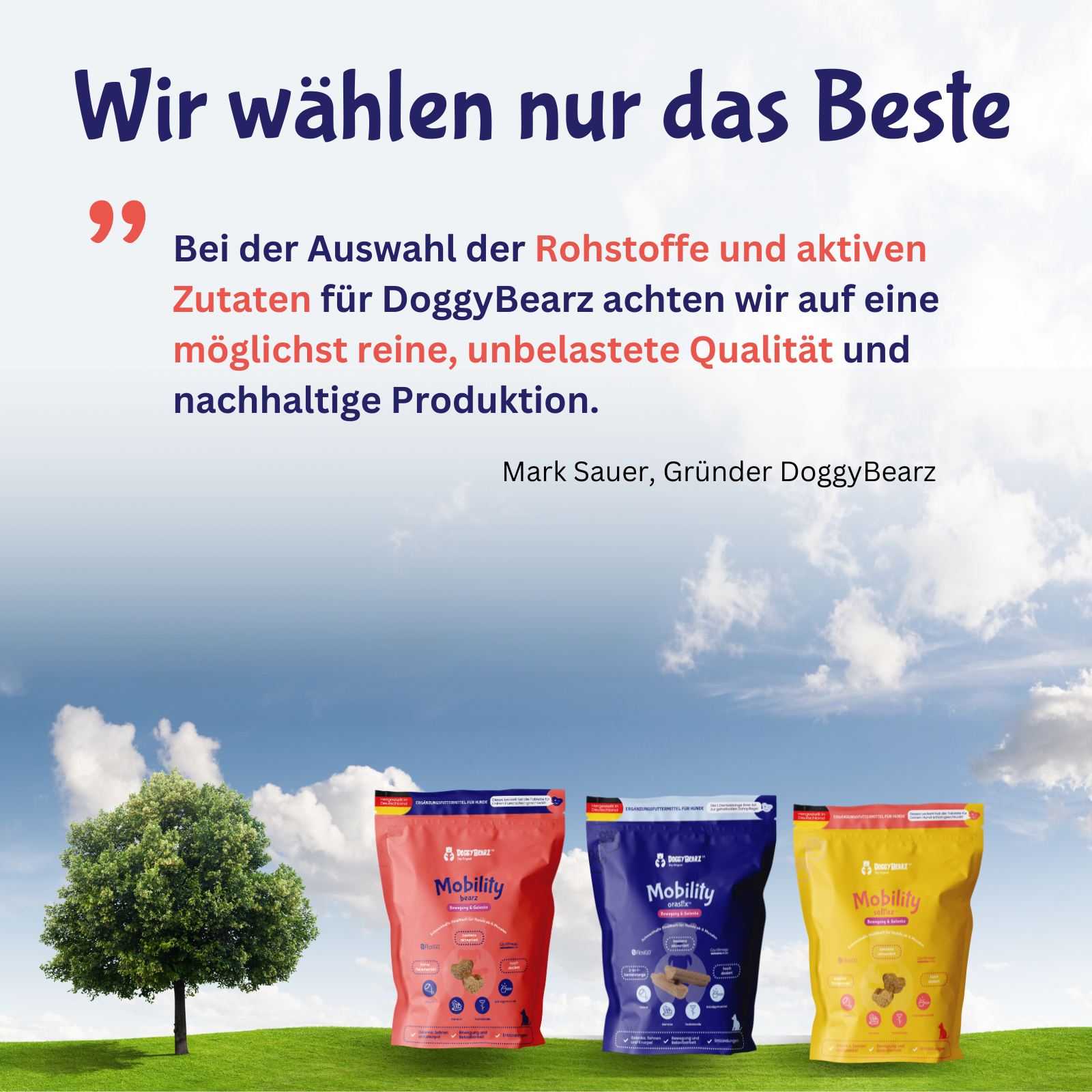 Gelenk & Entzündungen - Mobility Bearz für Hunde mit Teufelskralle und Grünlippenmuschel von DoggyBearz
