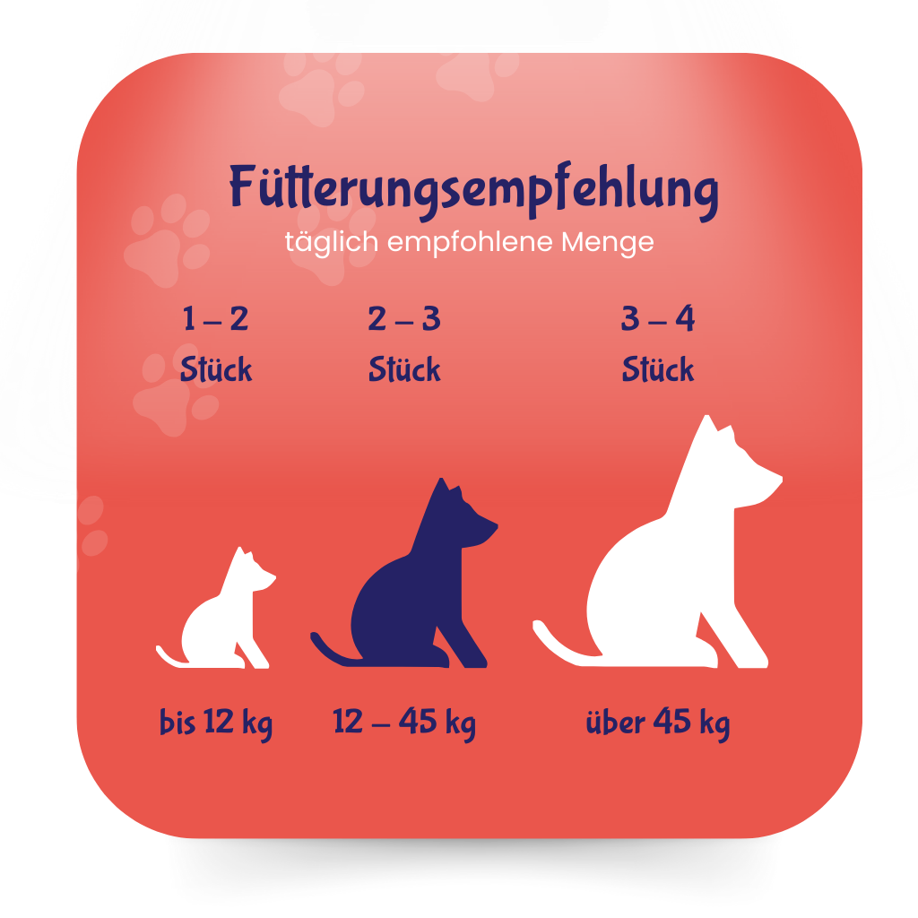 Omega bearz für Hunde, mit DHAgold Algenöl, von DoggyBearz