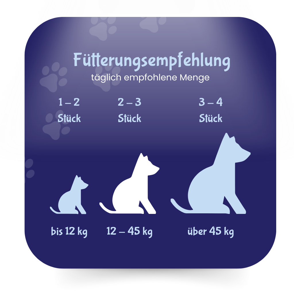 Krill Orast!x für Hunde mit antarktischem Krill von DoggyBearz