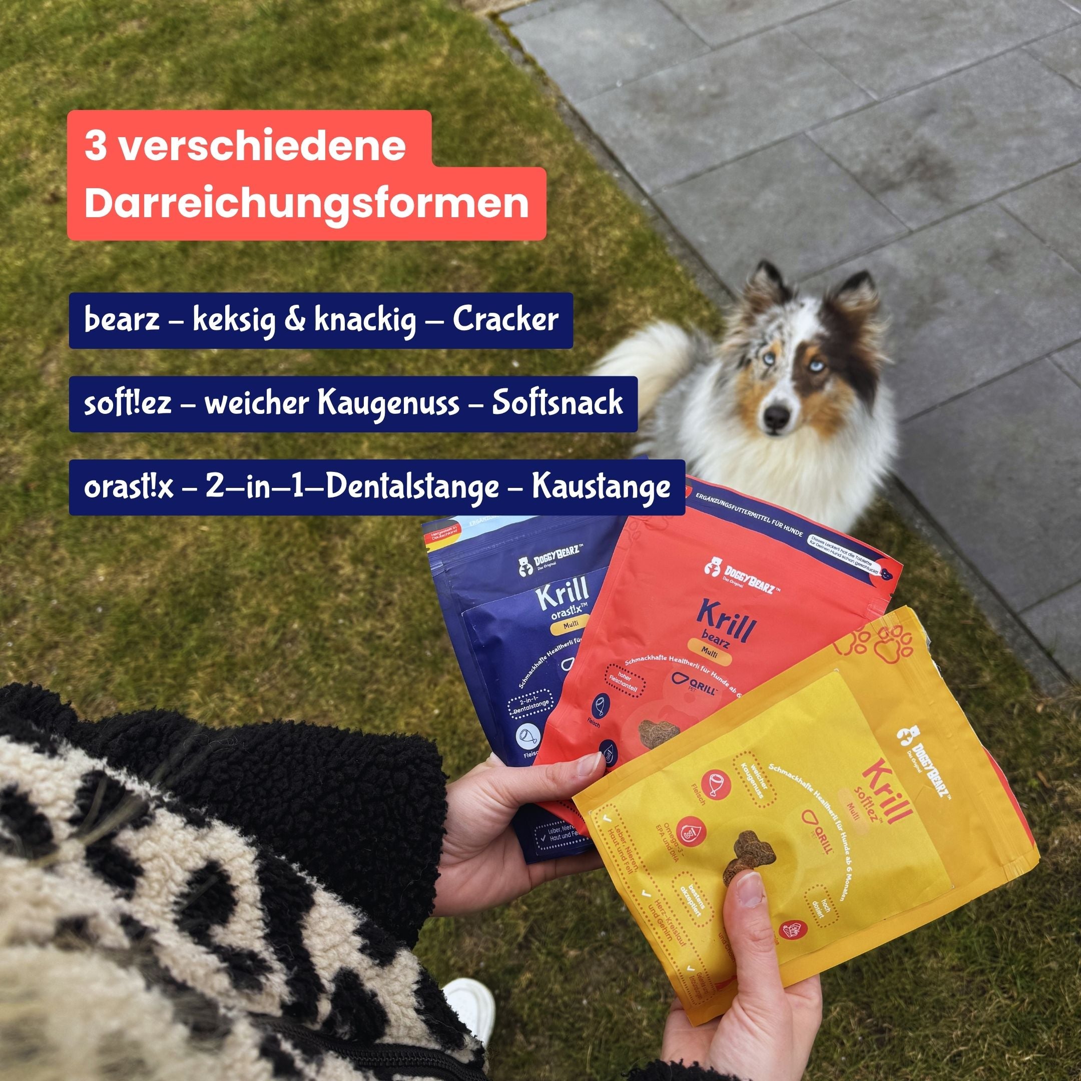 Krill orast!x für Hunde, mit antarktischem Krill, von DoggyBearz