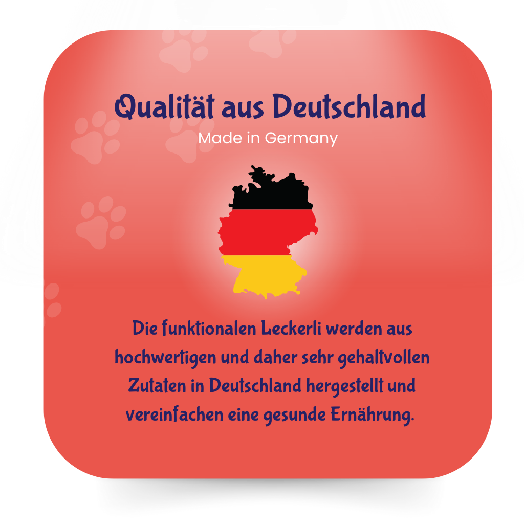 Gelenk & Entzündungen - Mobility Bearz für Hunde mit Teufelskralle und Grünlippenmuschel von DoggyBearz