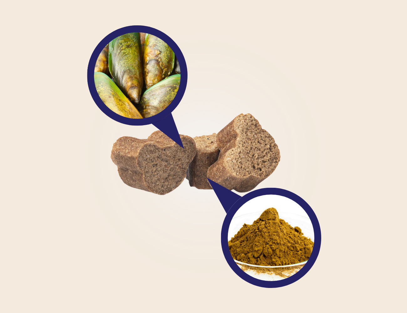 Grünlippmuschel und Teufelskralle