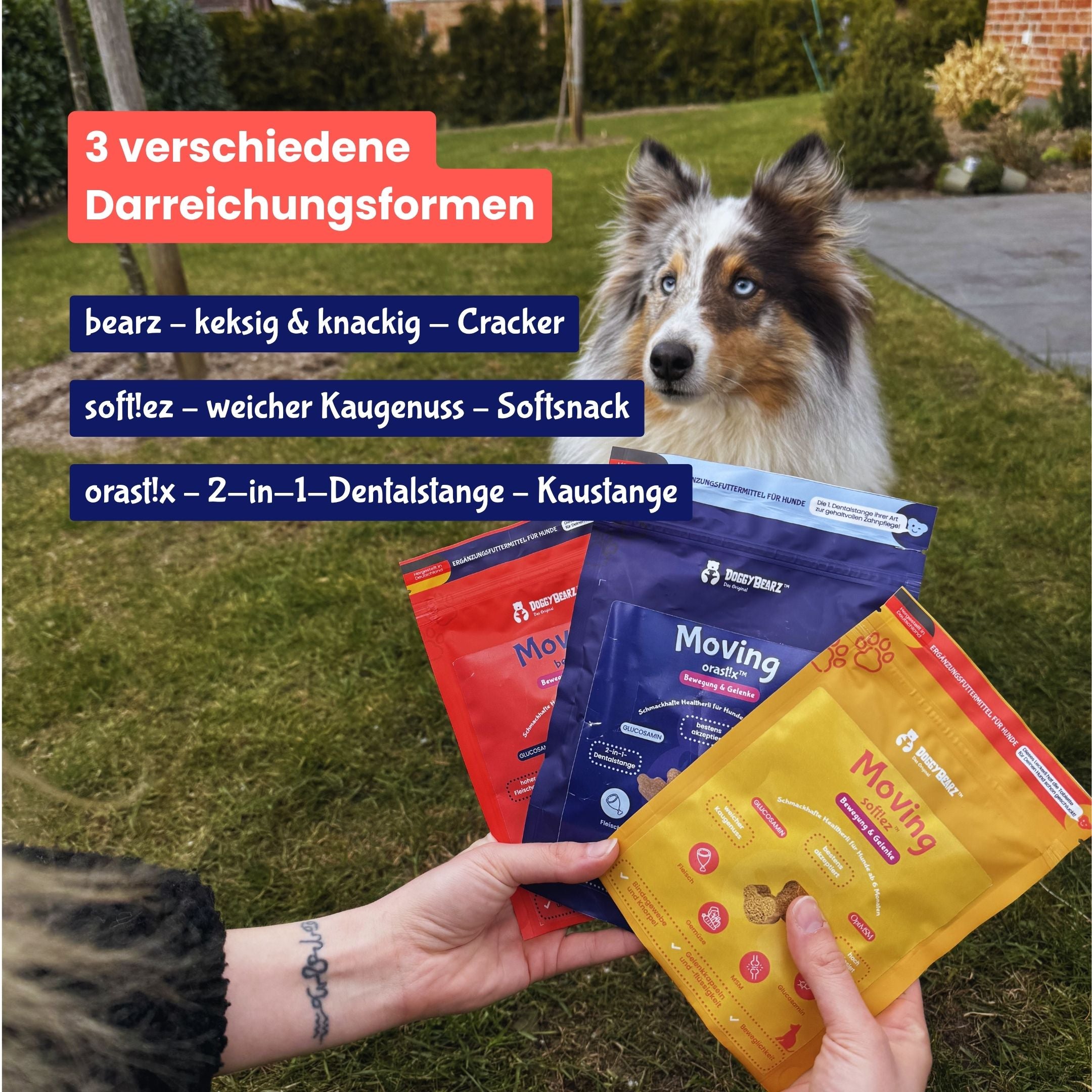 Moving orast!x für Hunde, mit Glucosamin und MSM, von DoggyBearz