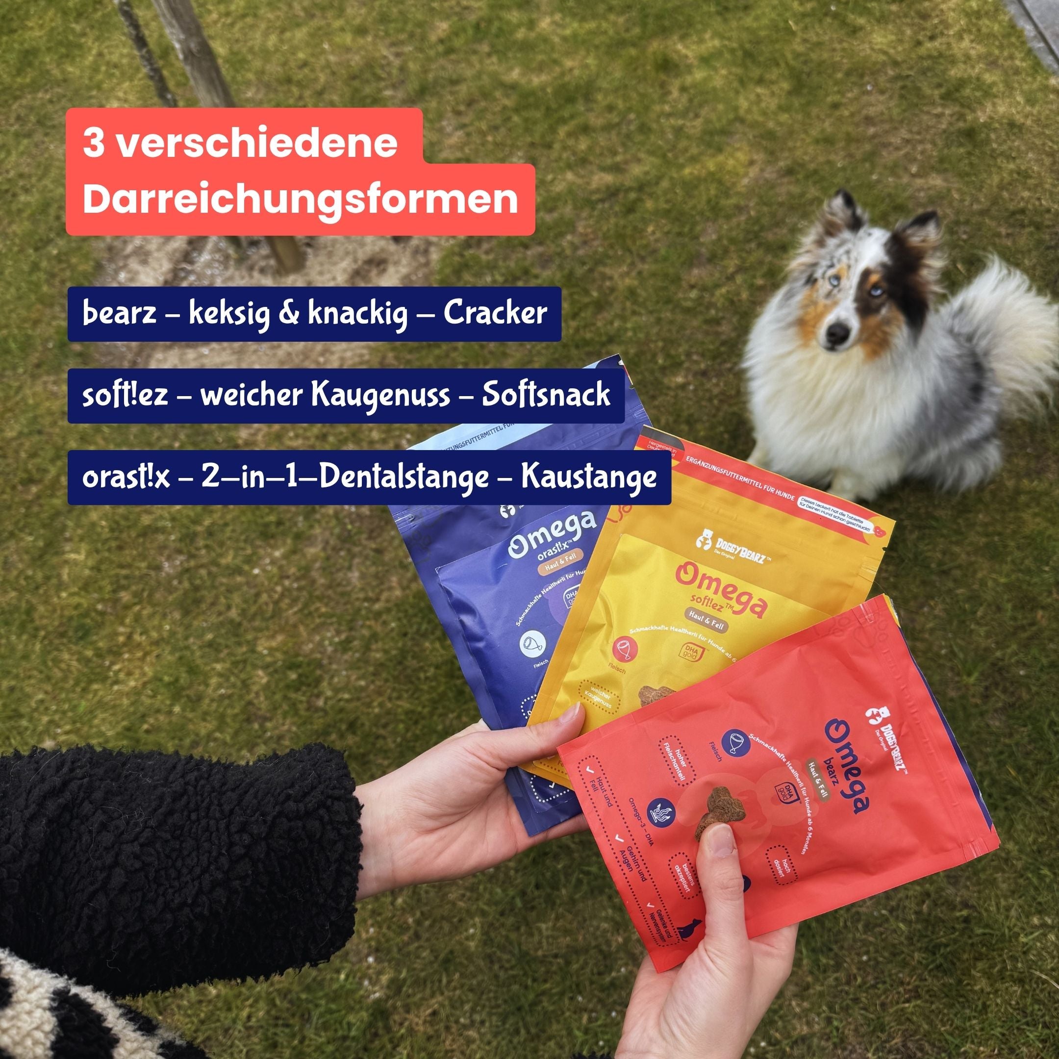 Omega bearz für Hunde, mit DHAgold Algenöl, von DoggyBearz