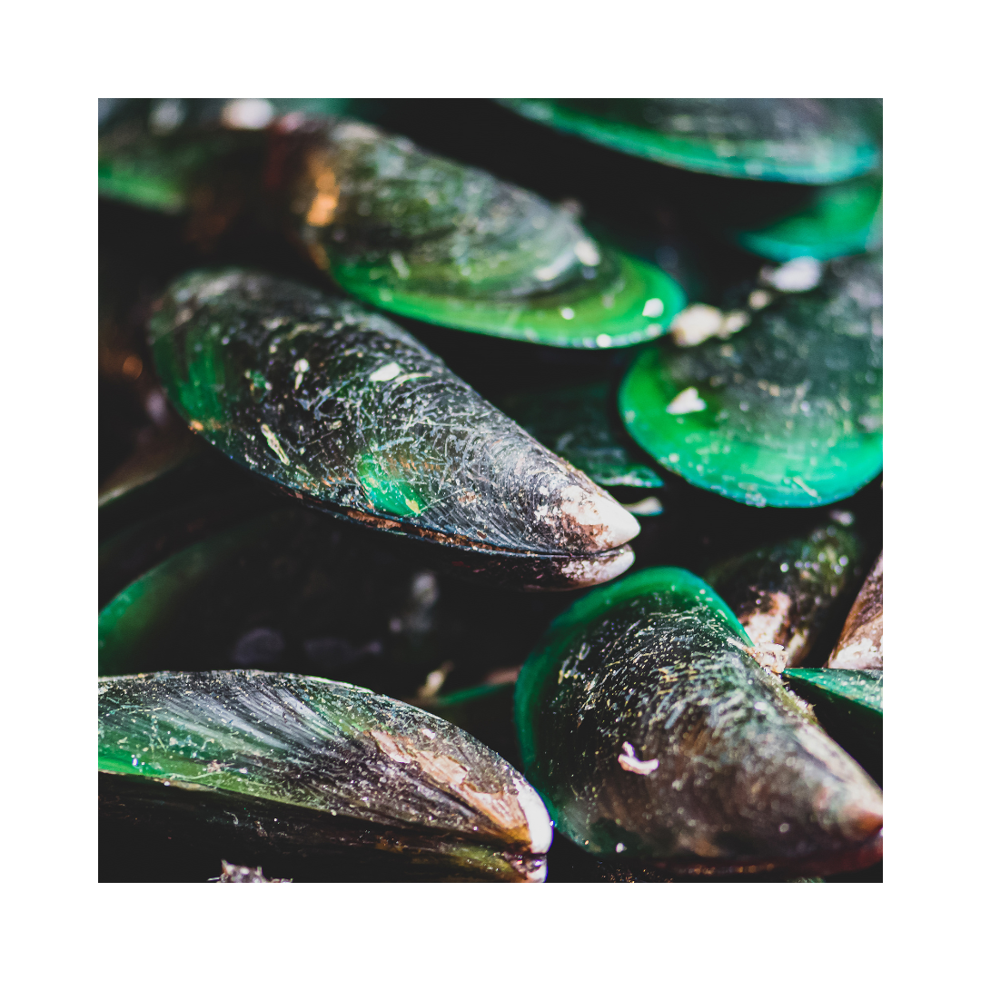 Teufelskralle und Grünlippmuschelpulver