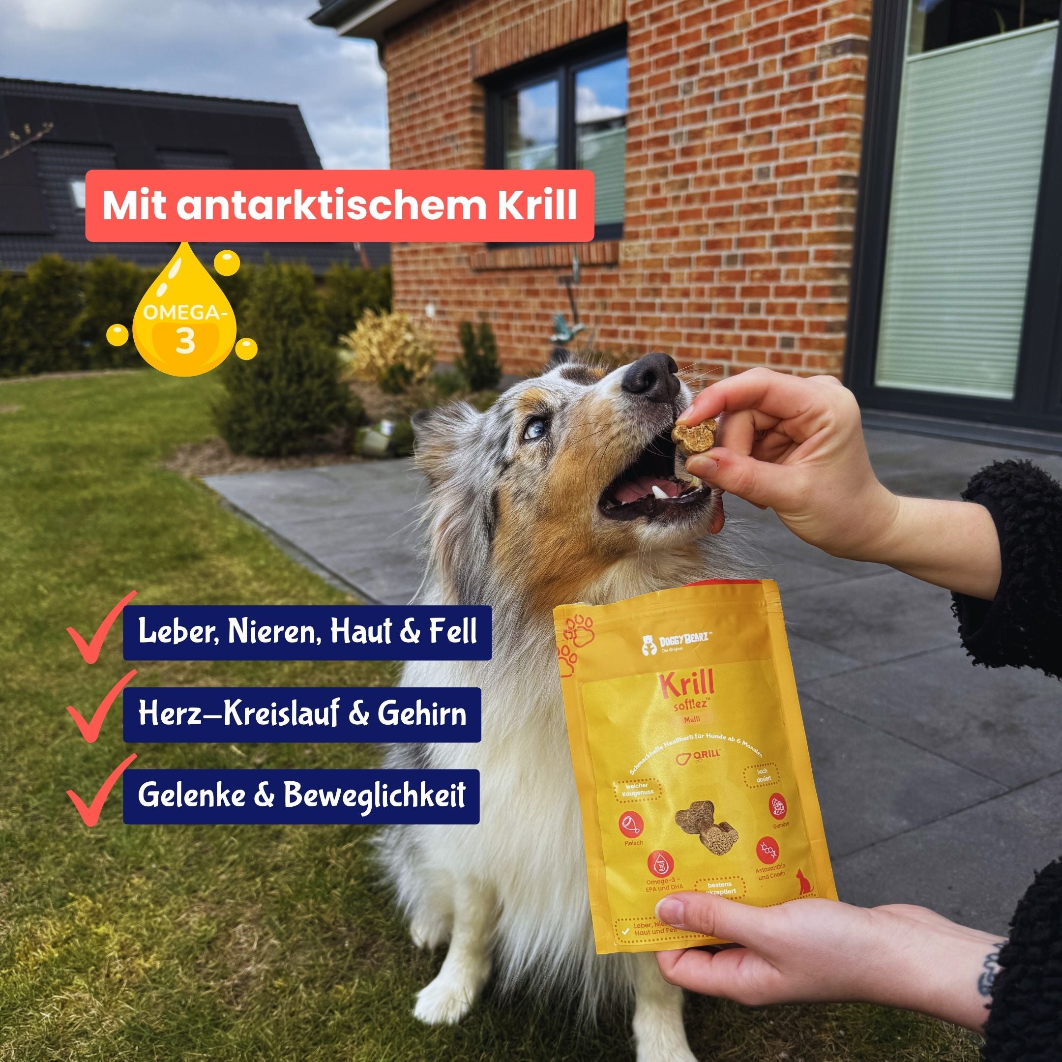 Krill orast!x für Hunde, mit antarktischem Krill, von DoggyBearz