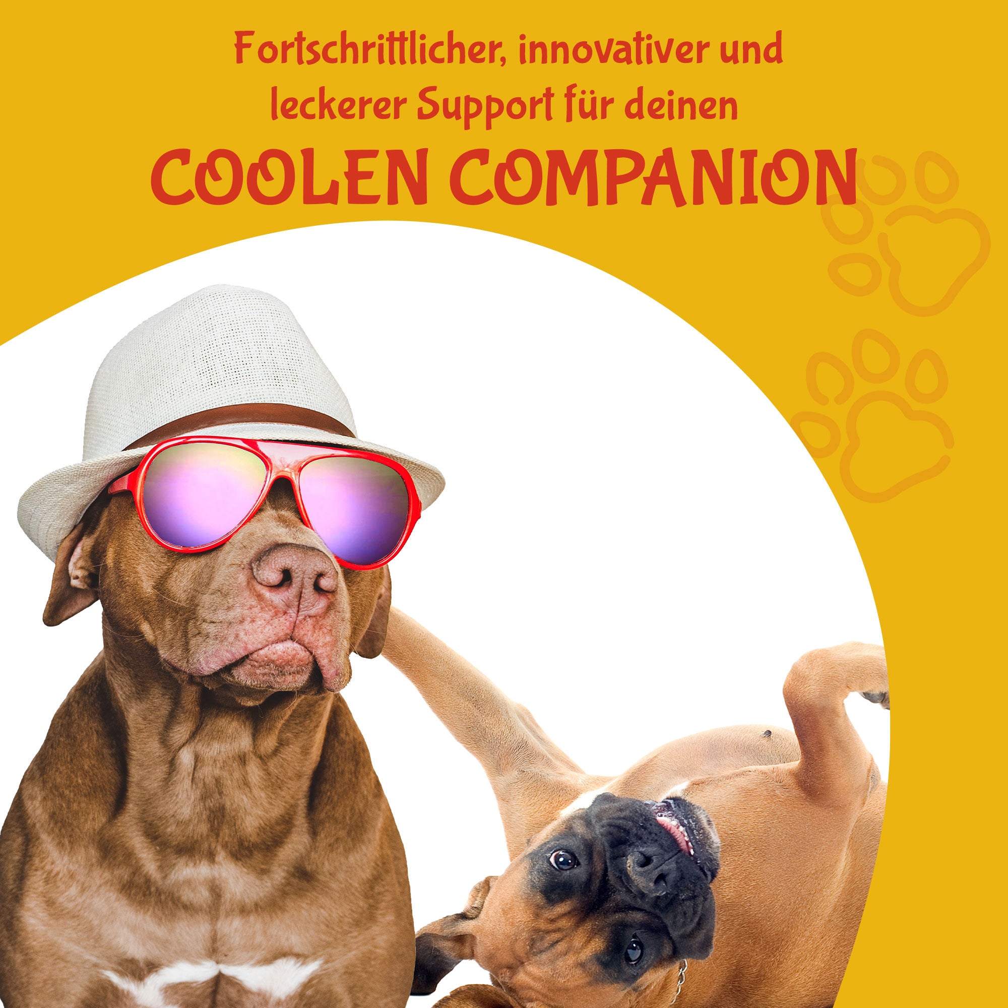 KRILL SOFTIEZ - funktionale Snacks für Hunde